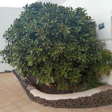 Aguas Verdes Бетанкурия Экстерьер фото